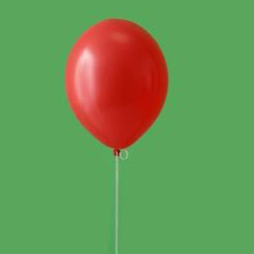 Balloon Trained optimized model